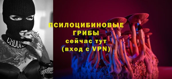МДПВ Пролетарск