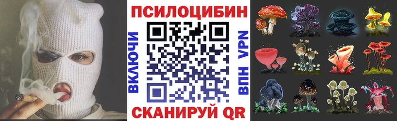 Псилоцибиновые грибы Psilocybe  это как зайти  Буинск 